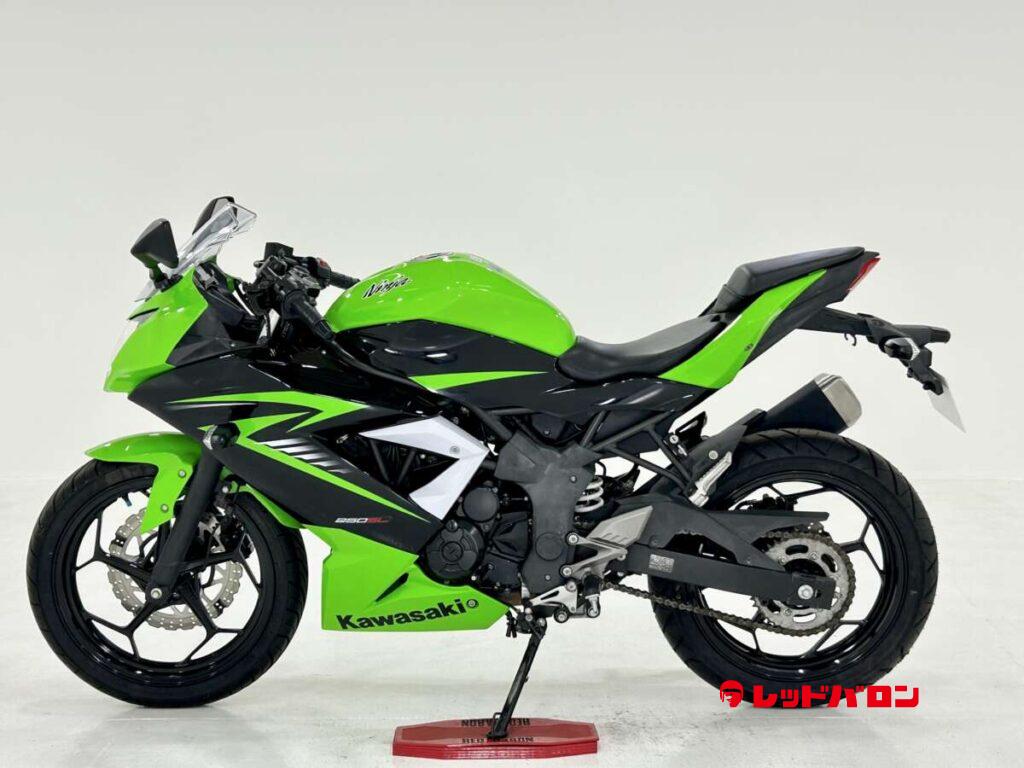 専用Realize ニンジャ250SL BX250A Aria TIスラッシュ Realize ニンジャ250SL BX250A Aria TIスラッシュ（Realize