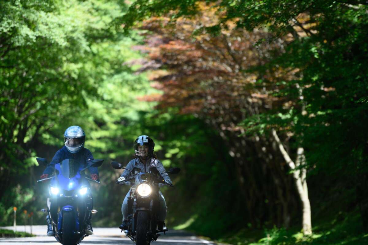 並木道を並走してツーリングを楽しむ2台のバイク